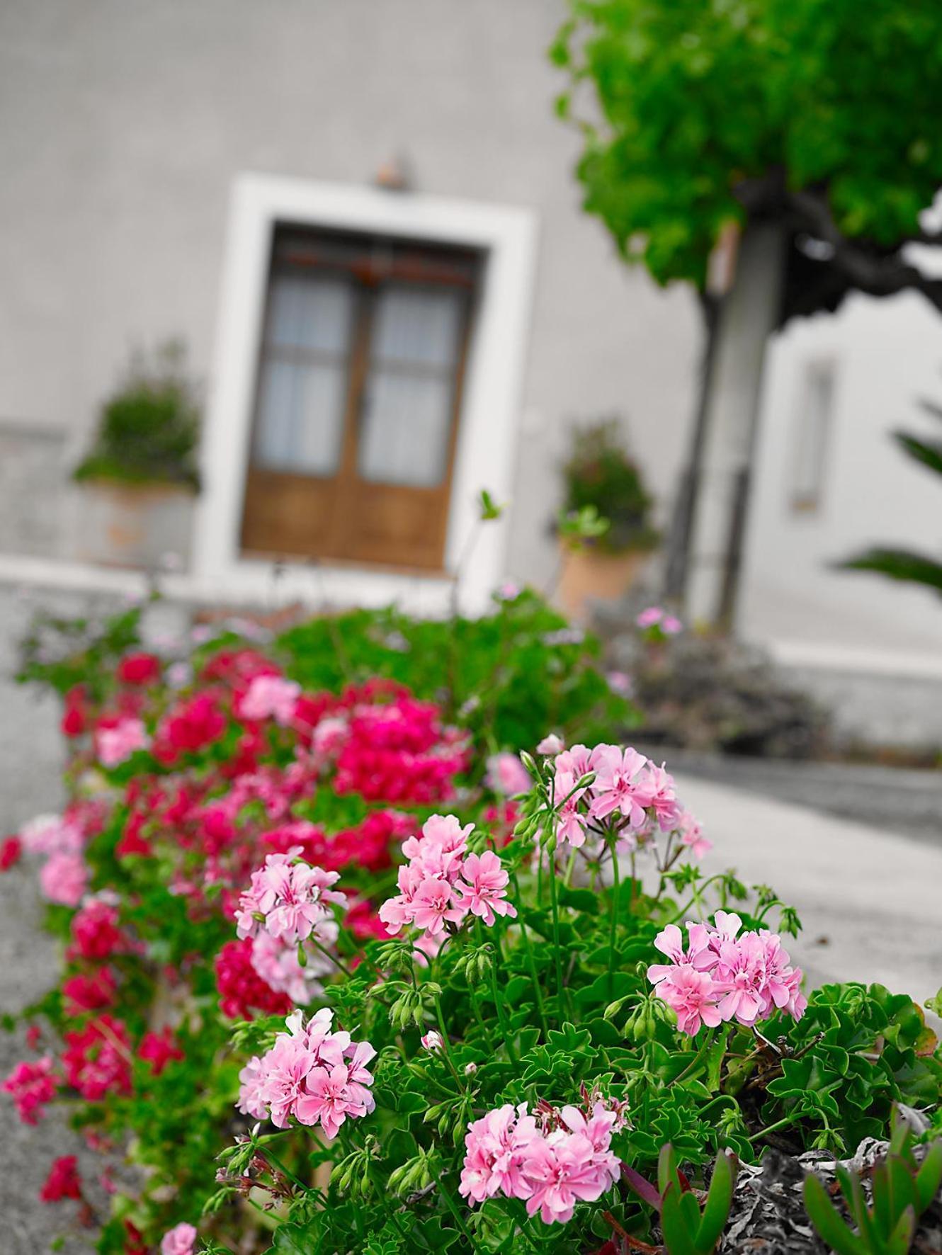 Agroturisme Can Planells Sant Miquel de Balansat Dış mekan fotoğraf