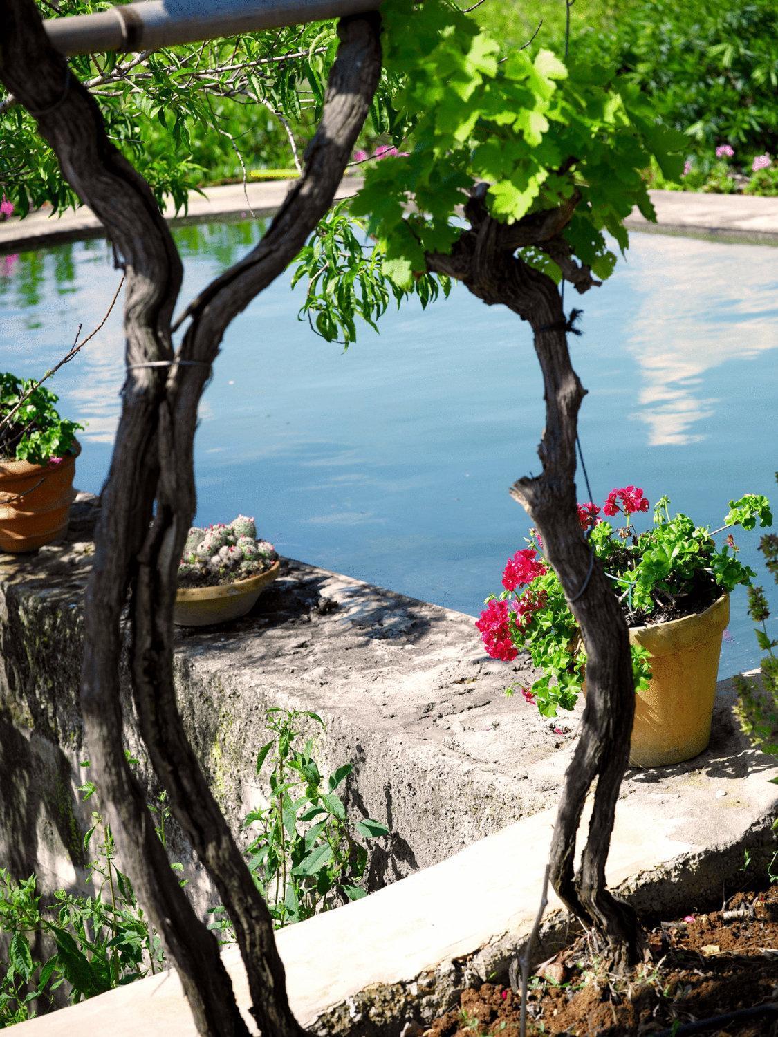 Agroturisme Can Planells Sant Miquel de Balansat Dış mekan fotoğraf